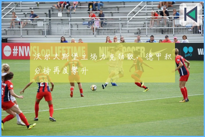 沃尔夫斯堡主场力克劲敌，德甲积分榜再度攀升