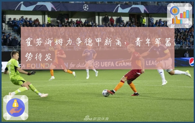 霍芬海姆力争德甲新高，青年军蓄势待发