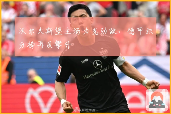 沃尔夫斯堡主场力克劲敌，德甲积分榜再度攀升